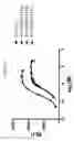 Fig. 57 - FGF21 mutants and uses thereof