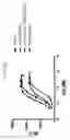 Fig. 59 - FGF21 mutants and uses thereof