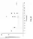 Fig. 88 - FGF21 mutants and uses thereof