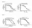 Fig. 04 - Compositions and Methods to Treat Bone Related Disorders