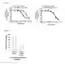 Fig. 05 - Compositions and Methods to Treat Bone Related Disorders