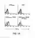 Fig. 02 - Angiogenic and immunologic applications of anti-CD160 specific compounds obtainable from mAb CL1-R2