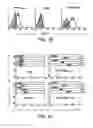 Fig. 03 - Angiogenic and immunologic applications of anti-CD160 specific compounds obtainable from mAb CL1-R2