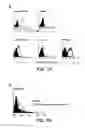 Fig. 09 - Angiogenic and immunologic applications of anti-CD160 specific compounds obtainable from mAb CL1-R2