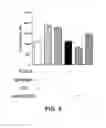 Fig. 10 - Angiogenic and immunologic applications of anti-CD160 specific compounds obtainable from mAb CL1-R2