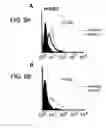 Fig. 11 - Angiogenic and immunologic applications of anti-CD160 specific compounds obtainable from mAb CL1-R2