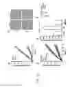 Fig. 15 - Angiogenic and immunologic applications of anti-CD160 specific compounds obtainable from mAb CL1-R2