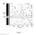Fig. 03 - METHODS FOR PREDICTING AUTOIMMUNE DISEASE RISK