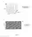 Fig. 13 - METHODS FOR PREDICTING AUTOIMMUNE DISEASE RISK