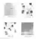 Fig. 02 - Antibodies to JTT-1 protein and cells secreting such antibodies