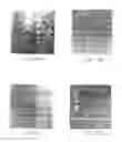 Fig. 07 - Antibodies to JTT-1 protein and cells secreting such antibodies