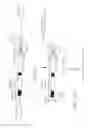 Fig. 22 - Antibodies to JTT-1 protein and cells secreting such antibodies
