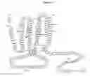 Fig. 21 - Wise binding agents and epitopes