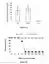 Fig. 06 - VACCINE AGAINST BOTULISM