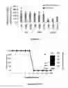 Fig. 08 - VACCINE AGAINST BOTULISM