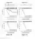 Fig. 10 - VACCINE AGAINST BOTULISM
