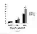 Fig. 08 - Modulating PDX-1 with PCIF1, methods and uses thereof