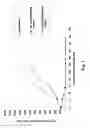 Fig. 03 - Monomethylvaline compounds capable of conjugation to ligands