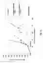Fig. 04 - Monomethylvaline compounds capable of conjugation to ligands