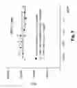 Fig. 11 - Monomethylvaline compounds capable of conjugation to ligands