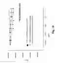 Fig. 12 - Monomethylvaline compounds capable of conjugation to ligands