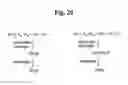 Fig. 22 - Monomethylvaline compounds capable of conjugation to ligands