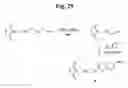 Fig. 31 - Monomethylvaline compounds capable of conjugation to ligands