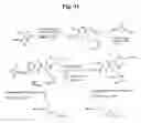Fig. 33 - Monomethylvaline compounds capable of conjugation to ligands