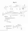 Fig. 34 - Monomethylvaline compounds capable of conjugation to ligands