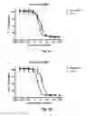 Fig. 06 - Monomethylvaline compounds capable of conjugation to ligands