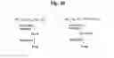 Fig. 22 - Monomethylvaline compounds capable of conjugation to ligands