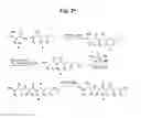 Fig. 27 - Monomethylvaline compounds capable of conjugation to ligands