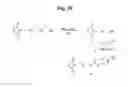 Fig. 31 - Monomethylvaline compounds capable of conjugation to ligands