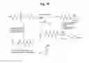 Fig. 32 - Monomethylvaline compounds capable of conjugation to ligands