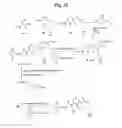 Fig. 34 - Monomethylvaline compounds capable of conjugation to ligands