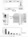 Fig. 04 - Immuno-molecules containing viral proteins, compositions thereof and methods of using
