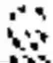Fig. 02 - Flavivirus host-range mutations and uses thereof