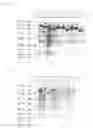Fig. 05 - Recombinant avian infectious coryza vaccine and process for preparing same