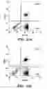 Fig. 29 - Molecule