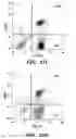 Fig. 30 - Molecule