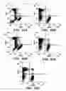 Fig. 42 - Molecule