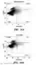 Fig. 47 - Molecule
