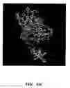 Fig. 73 - Molecule