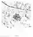 Fig. 13 - CDNA corresponding to the antigenome of nonsegmented negative strand RNA viruses, and process for the production of such viruses encoding additional antigenically active proteins