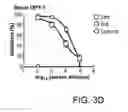 Fig. 08 - Virus-like particles (VLPs) prepared from chikungunya virus structural proteins