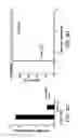 Fig. 10 - Virus-like particles (VLPs) prepared from chikungunya virus structural proteins