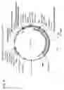 Fig. 12 - Virus-like particles (VLPs) prepared from chikungunya virus structural proteins