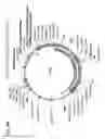Fig. 19 - Virus-like particles (VLPs) prepared from chikungunya virus structural proteins