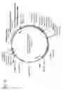 Fig. 41 - Virus-like particles (VLPs) prepared from chikungunya virus structural proteins