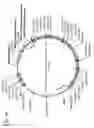 Fig. 51 - Virus-like particles (VLPs) prepared from chikungunya virus structural proteins